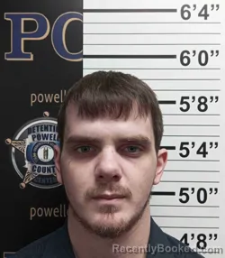 Mugshot of BRADLEY LIVESAY