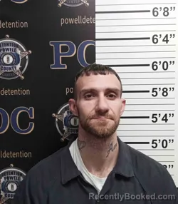 Mugshot of DUSTIN COOK