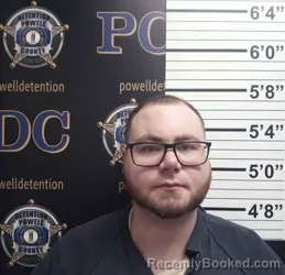 Mugshot of JONATHAN BUCHANAN