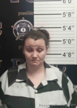 Mugshot of MELISSA MABE