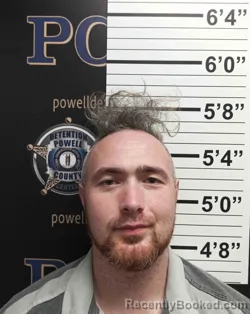 Mugshot of SHAWN WISEMAN