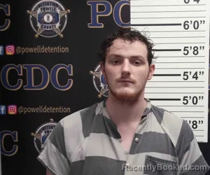 Mugshot of WILLIAM HELTON