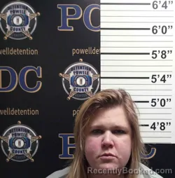 Mugshot of NICOLE CARTER
