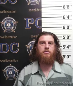 Mugshot of WILLIAM WETHINGTON