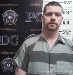 Mugshot of JAMES BERGMAN