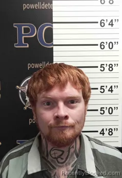 Mugshot of TYLER MCQUEARY booked in Powell County, Kentucky on May 11, 2026