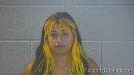Mugshot of ANAISABEL LEANN ROSE GALVAN-WHITEHEAD booked in Pulaski County, Kentucky on July 10, 2026
