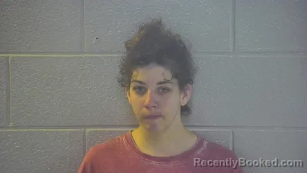 Mugshot of ALEXANDREA S GOGGINS