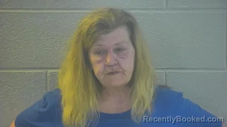Mugshot of Amy Lynn Goggins booked in Pulaski County, Kentucky on August 22, 2026
