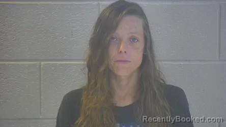 Mugshot of Ashley D Ping booked in Pulaski County, Kentucky on September 3, 2026