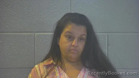 Mugshot of ALISA G SANDERS booked in Pulaski County, Kentucky on April 22, 2026