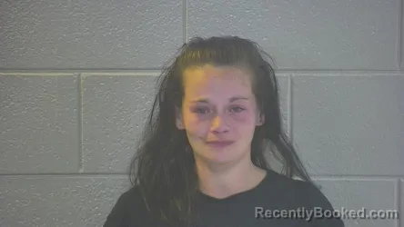 Mugshot of ANGELA R WILLIAMS booked in Pulaski County, Kentucky on April 3, 2026