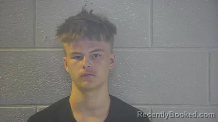 Mugshot of BRODY K CLINE booked in Pulaski County, Kentucky on July 21, 2026