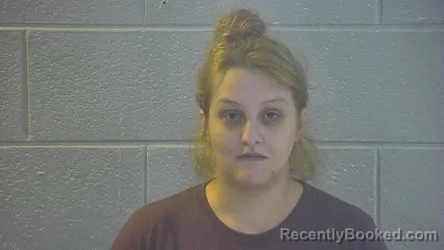 Mugshot of BRITTNEY NICOLE CUNNINGHAM