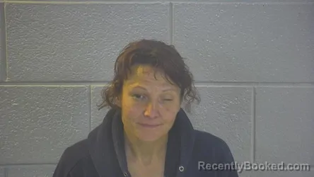 Mugshot of BONNIE LYNN CROWE