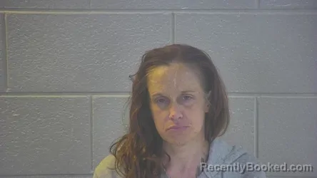 Mugshot of BRANDY NICOLE GIRDLER
