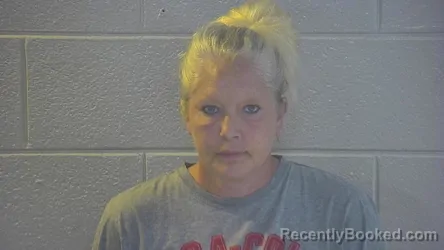 Mugshot of BESSIE J SMITH booked in Pulaski County, Kentucky on July 2, 2026