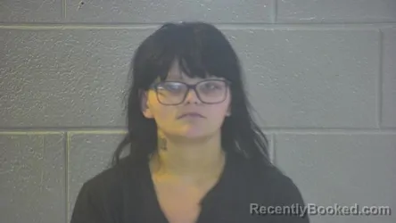 Mugshot of BRIANNA LEE WILLIAMS booked in Pulaski County, Kentucky on May 11, 2026