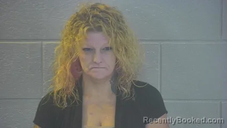 Mugshot of Crystal Ann Chapman booked in Pulaski County, Kentucky on September 24, 2026