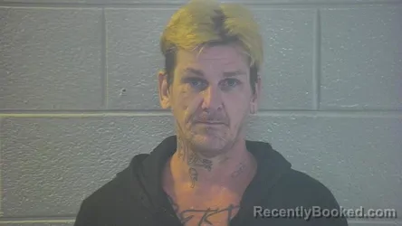 Mugshot of CARION PARIS COSTELLI booked in Pulaski County, Kentucky on July 8, 2026