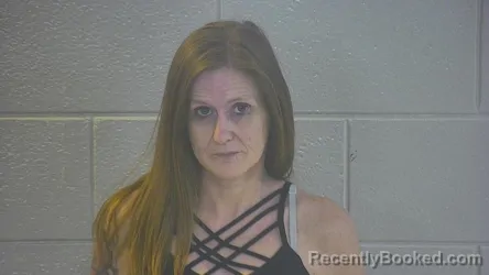 Mugshot of CAROLYN S LEE booked in Pulaski County, Kentucky on May 10, 2026