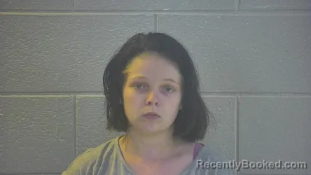 Mugshot of CALI A WEBSTER booked in Pulaski County, Kentucky on May 11, 2026