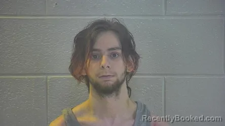 Mugshot of DRACO LEE-ALAN ANGEL