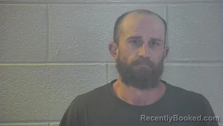 Mugshot of DALE EDWARD BROWN