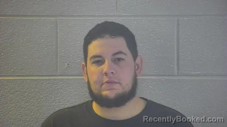 Mugshot of DILLON MEECE