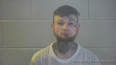 Mugshot of DAKOTA GARRETT SILVERS
