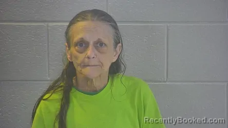 Mugshot of Emily Ann Meece booked in Pulaski County, Kentucky on August 22, 2026