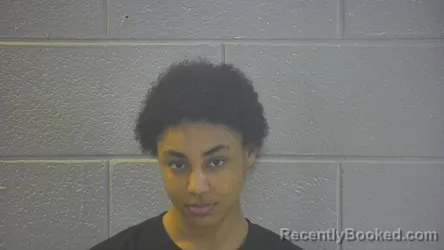 Mugshot of GABRIELLE S ANDERSON