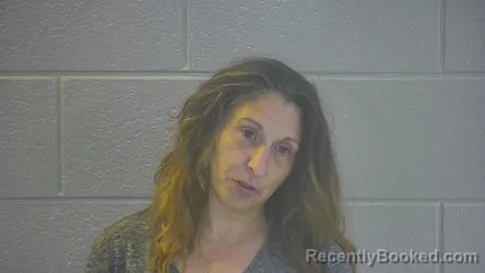 Mugshot of HEATHER MARIE WILSON booked in Pulaski County, Kentucky on July 2, 2026