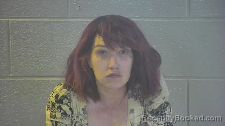 Mugshot of JHERICAHOPE PAIGE DAVIS booked in Pulaski County, Kentucky on April 3, 2026