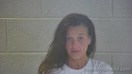 Mugshot of JESSICA LEE ANN HUDSON booked in Pulaski County, Kentucky on May 3, 2026