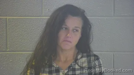Mugshot of Jessica Lee Ann Hudson booked in Pulaski County, Kentucky on August 26, 2026