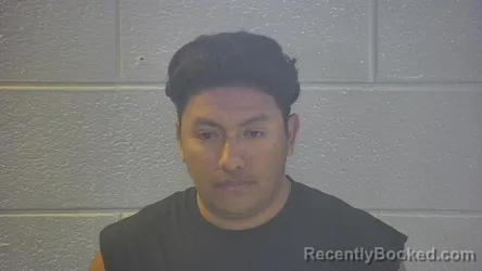 Mugshot of JORGE FLORES PENA