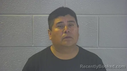Mugshot of JOEL MACARIO RAMIREZ booked in Pulaski County, Kentucky on June 26, 2026