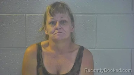 Mugshot of Juanita Wilson booked in Pulaski County, Kentucky on October 1, 2026
