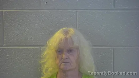 Mugshot of KATHLEEN DOBBS booked in Pulaski County, Kentucky on July 5, 2026