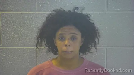 Booking photo from Pulaski County, Kentucky