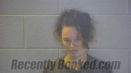 Booking photo from Pulaski County, Kentucky