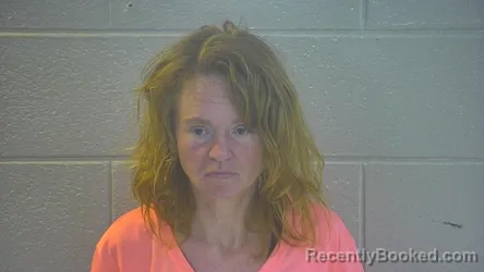 Mugshot of MARY ELIZABETH BOYCE