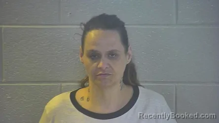 Mugshot of MISTY D CREMEANS booked in Pulaski County, Kentucky on June 4, 2026