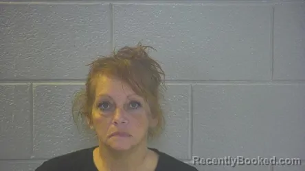 Mugshot of Michelle Renee Davis booked in Pulaski County, Kentucky on October 14, 2026