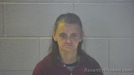 Mugshot of Mollie Ann Hicks booked in Pulaski County, Kentucky on October 7, 2026