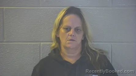 Mugshot of Melissa Cain Hardwick booked in Pulaski County, Kentucky on October 11, 2026