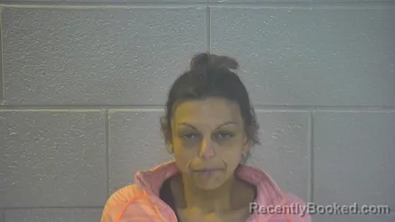 Mugshot of MISTY R LOVELESS