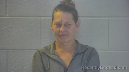 Mugshot of Michelle L Lear booked in Pulaski County, Kentucky on October 19, 2026