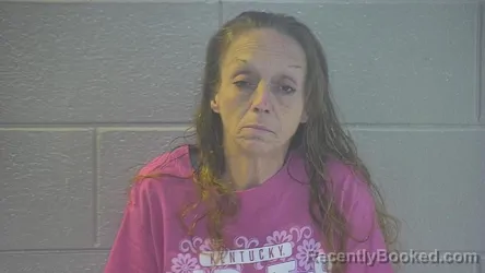 Mugshot of MICHELLE L PHILLIPS booked in Pulaski County, Kentucky on April 15, 2026